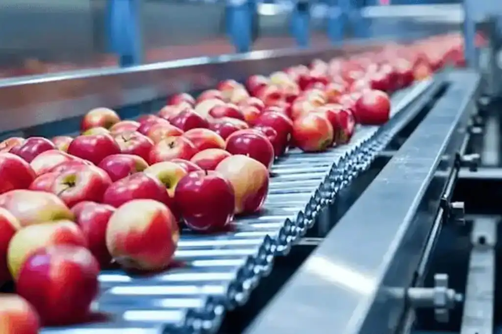 Auditorías internas en industria alimentaria con línea de producción de fruta