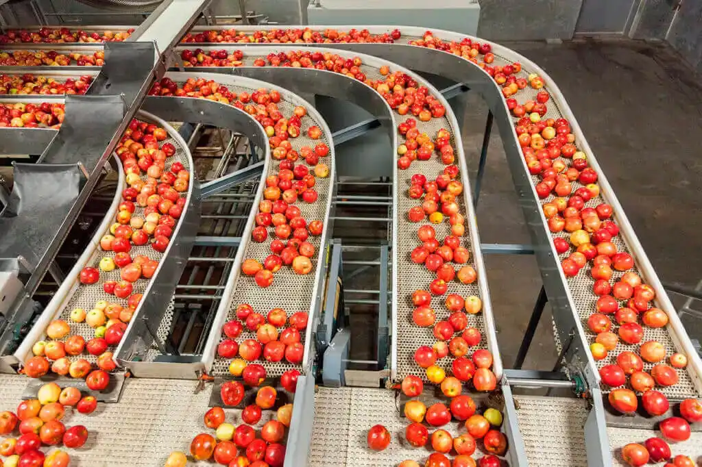 Consultoría alimentaria en industria alimentaria con línea de producción de manzanas